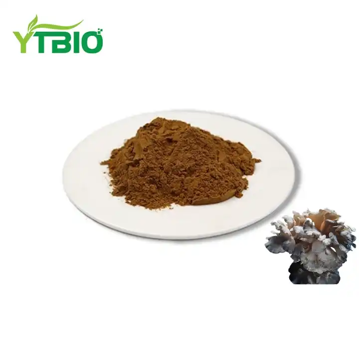 Organic Maitake Powder